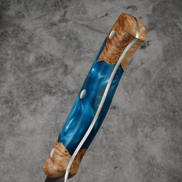Profesionalni mesarski nož C57, San Mai čelik 3 sloja, 25 cm